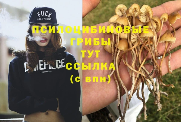а пвп мука Надым