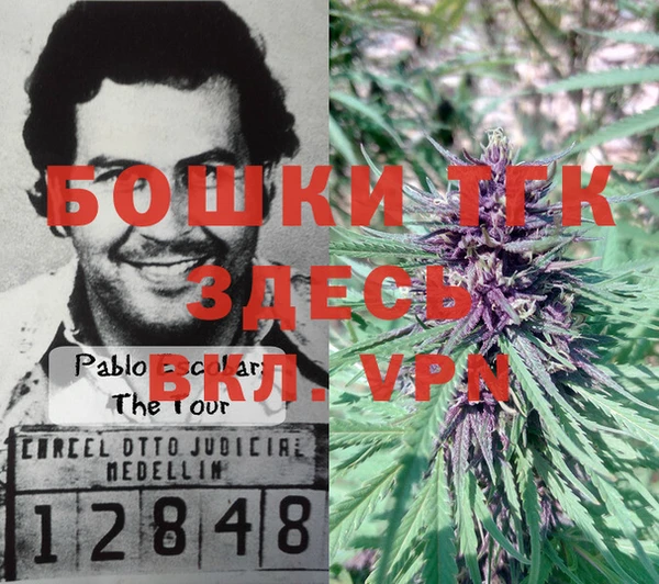 трава Нея