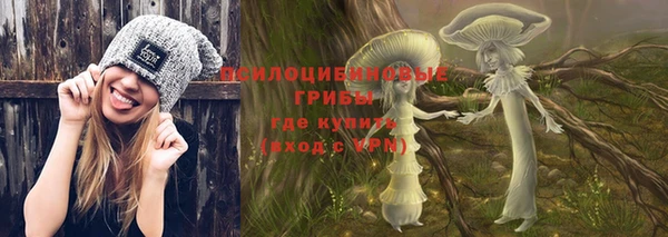 молекула духа Янаул